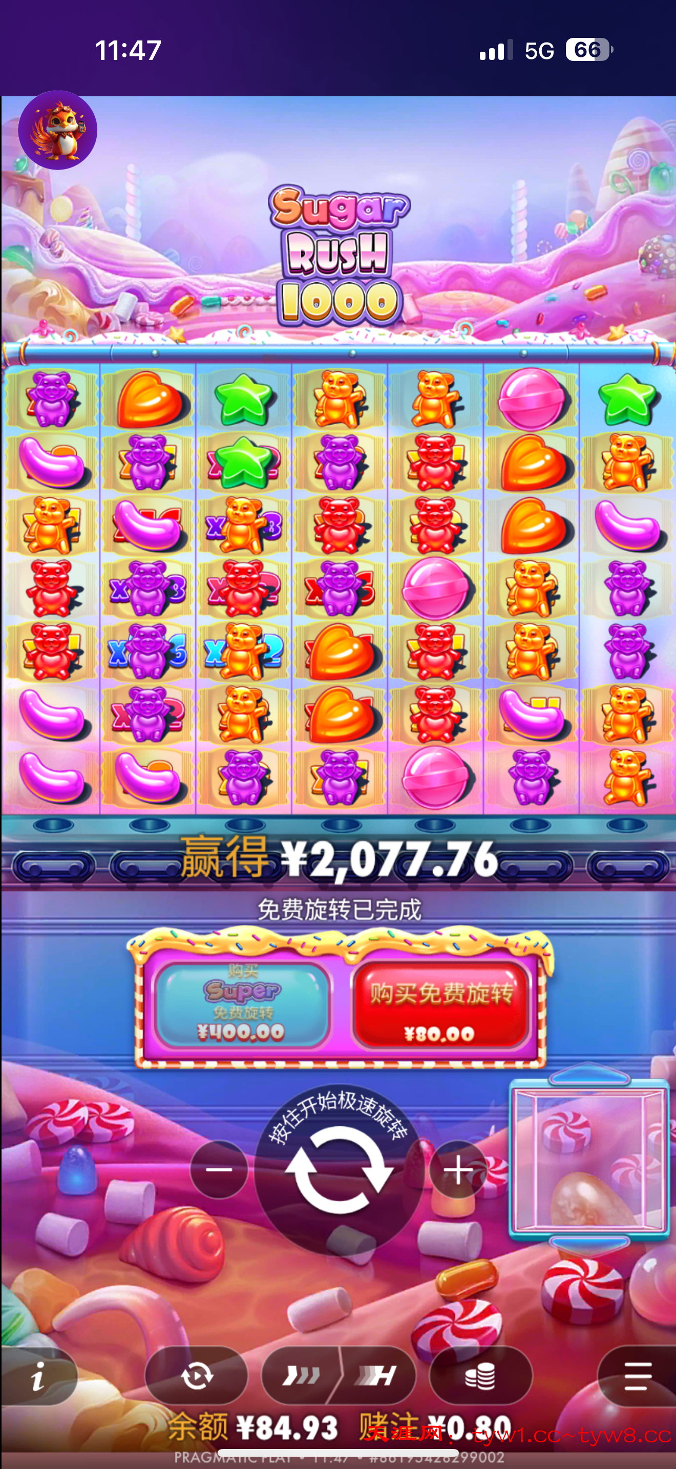 IMG_4150.png
